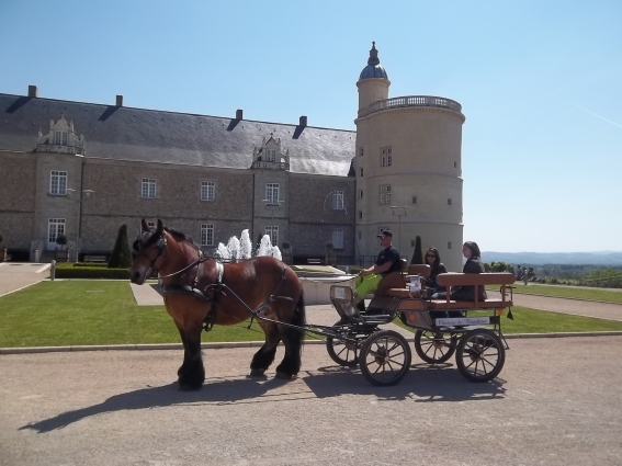 Tours Du Parc En Cal Che Ch Teau D Andr Zieux Bouth On